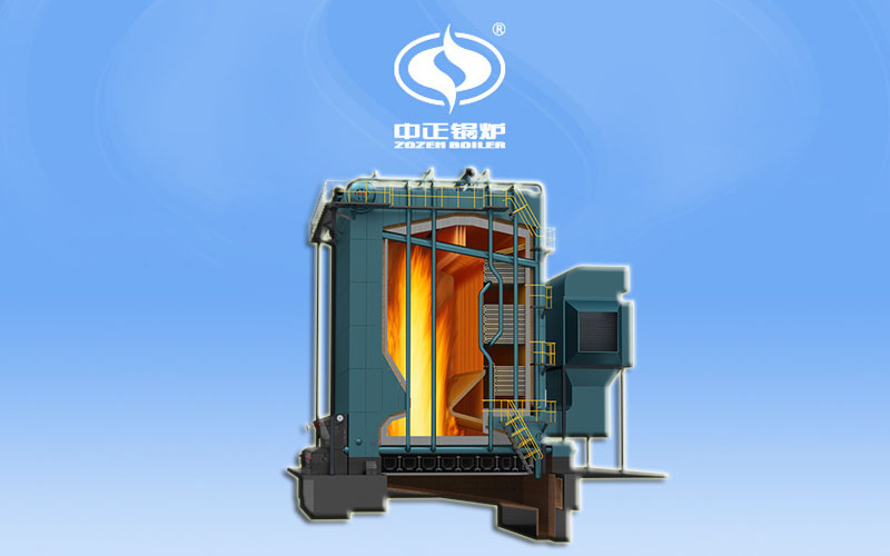 DHS系列中溫中壓燃?xì)猓ㄓ停╁仩t