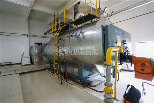 20噸燃氣導熱油爐多少錢